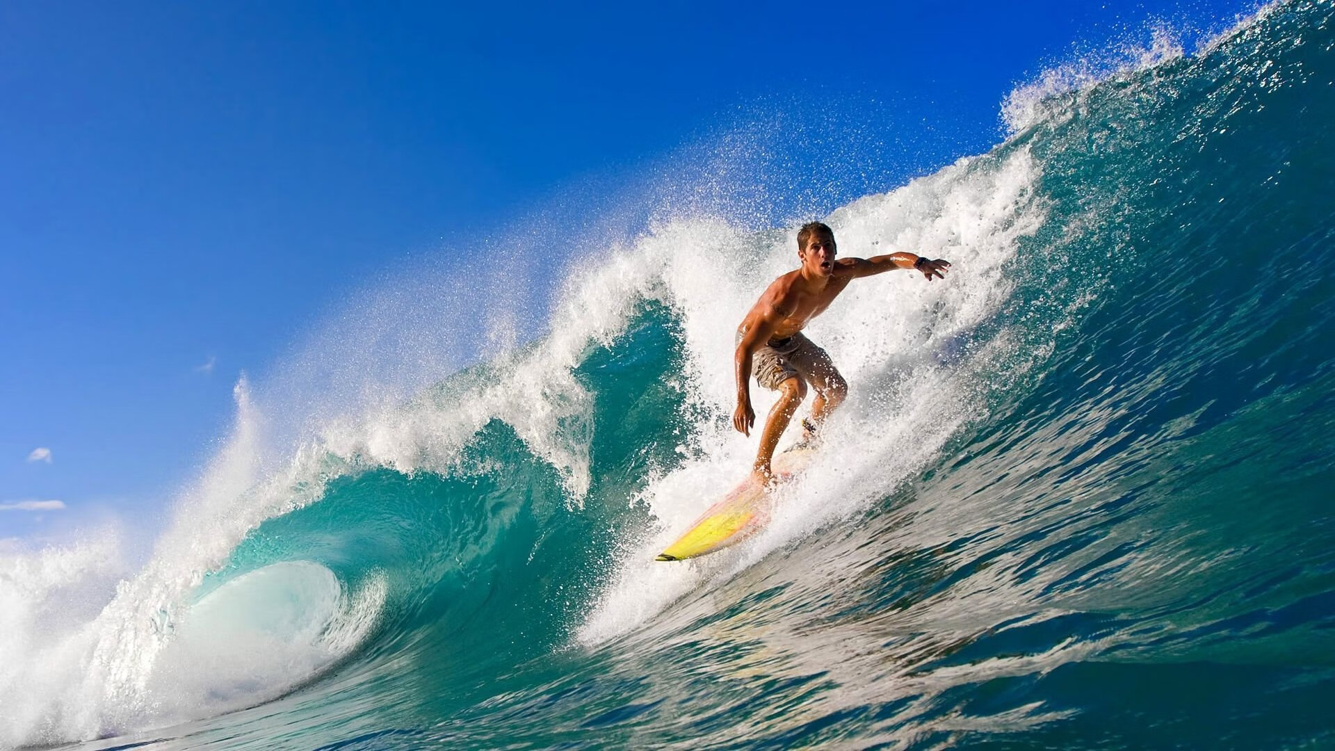 2026世界杯之夜，霍勒迪，从边缘人到救世主的史诗